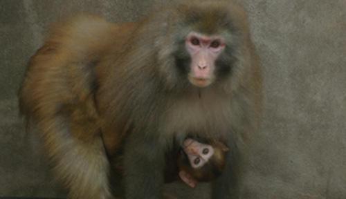 pic2.jpg
